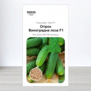 Насіння огірка бджолозапильний Виноградна лоза F1, 100 насінин